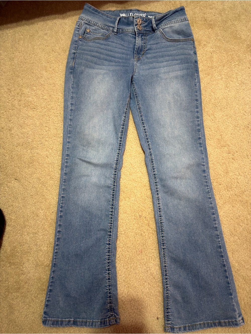 7 Short Wallflower Lucious Curvy Jeans